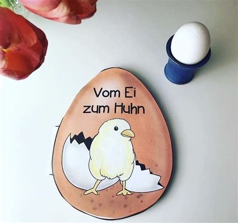 Vom Ei Zum K Ken Huhn Unterrichtsmaterial In Den F Chern Deutsch