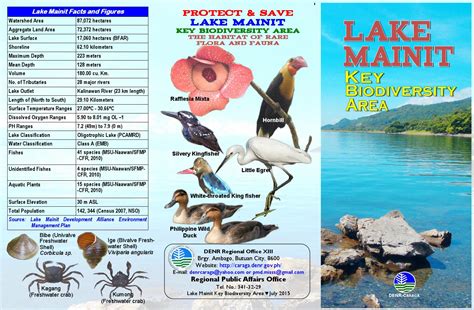 Lake Mainit Key Biodiversity Area by DENR-Caraga IEC Materials - Issuu