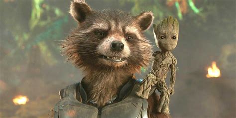 Marvel Finally Calls Out The Origin of Rocket Raccoon's Name