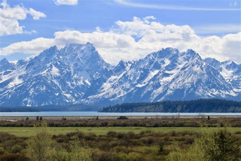 Grand Teton Winter Wildlife Half Day Tour | Teton Floats