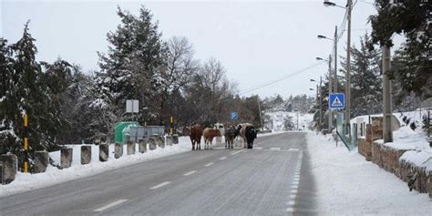 Estradas da Serra da Estrela já foram reabertas ao trânsito