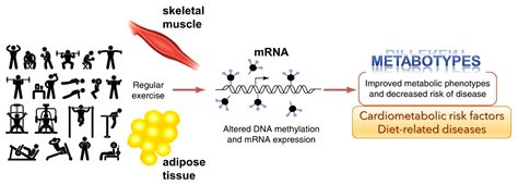 Biomolecules Free Full Text Restoring Epigenetic Reprogramming With