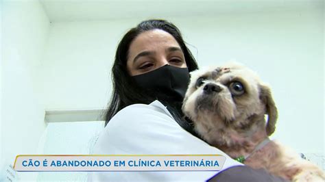 Cachorro é abandonado em clínica veterinária de Belo Horizonte YouTube