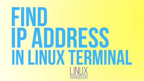 How To Find Your IP Address In Linux Terminal YouTube