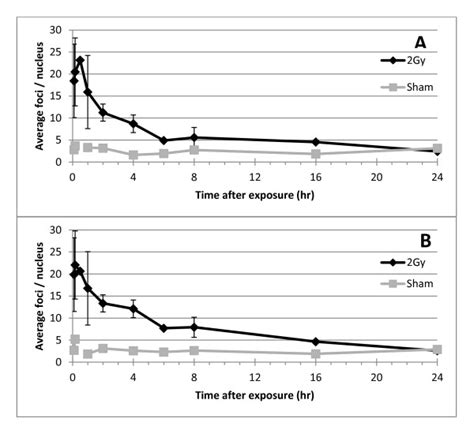 Induction And Persistence Of Bp Foci In Nhbe Cells Exposed To Gy