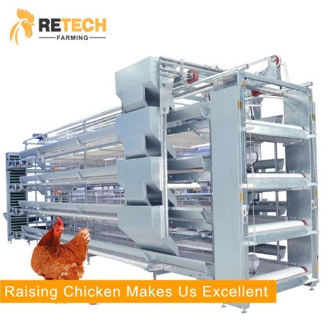 Automatic H Type Layer Poultry Farms Equipment Chicken Battery Cage