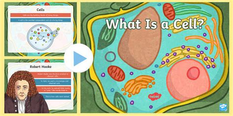 Cells PowerPoint What Is A Cell Life Science Twinkl