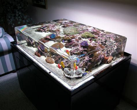 9 Really Cool Home Aquariums Alltop Viral