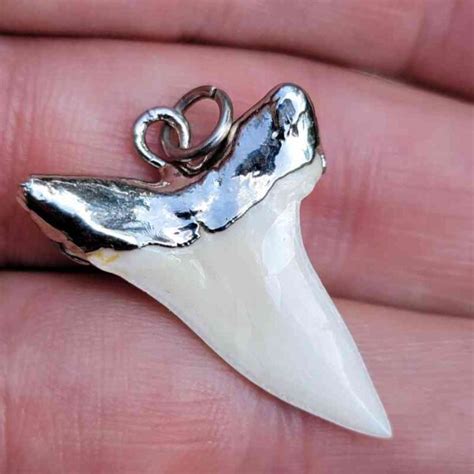 925 Silver Capped Modern Mako Tooth Pendant