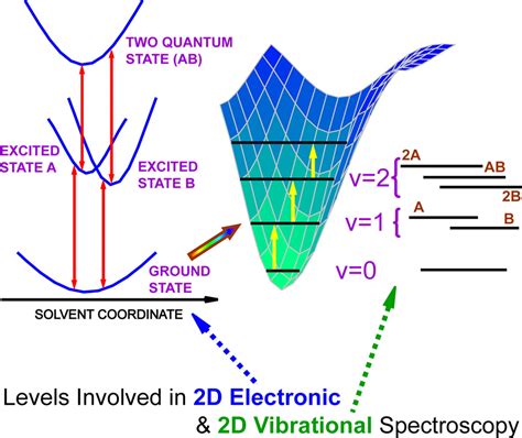 Two Dimensional Spectroscopy At Infrared And Optical Frequencies Pnas