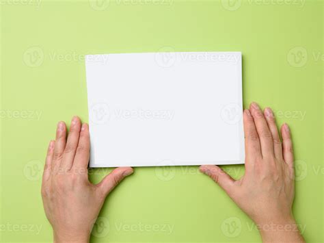 Two Female Hands Holding An Empty White Frame On A Green Background