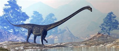 Top 10 World’s Largest Dinosaurs Ever - A-Z Animals