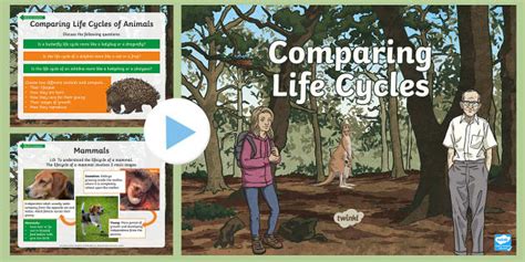 Comparing Life Cycles Powerpoint L Enseignant A Fait