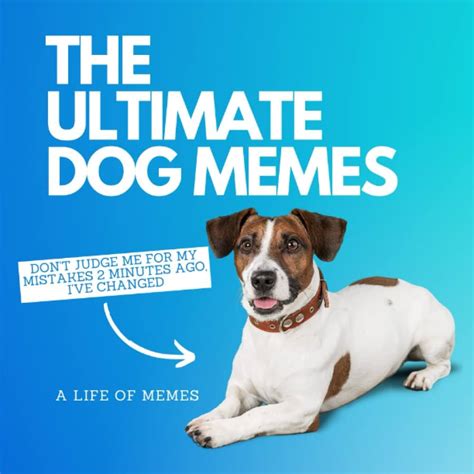 Dog Memes Stickers Funny Dog Meme Stickers Fun Dog Meme | lupon.gov.ph