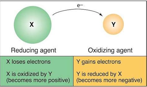 Reducing Agent: Characteristics, Weak and Strong Reducing Agent