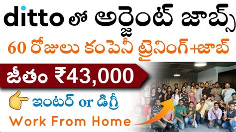 60 రజల కపన జబ టరనగ ఇసతద work from home jobs in ditto