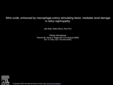 Nitric Oxide Enhanced By Macrophage Colony Stimulating Factor