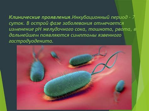 Хеликобактерии - online presentation