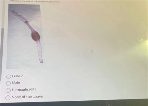 Solved Determine The Sex Of The Organism Pictured Female Chegg
