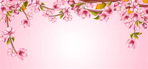 Cherry Blossom Petals PNG Transparent Spring Light Effect Pink Cherry