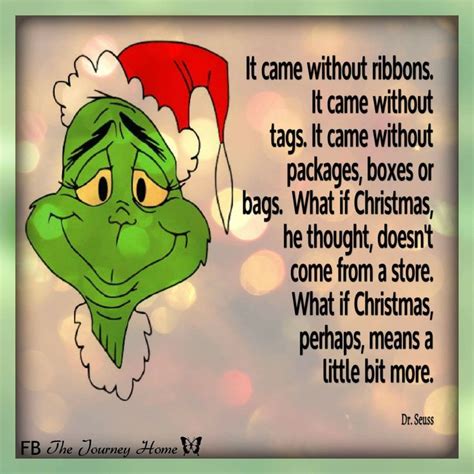 Grinch by Dr Seuss | Christmas quotes grinch, Grinch quotes, Christmas ...