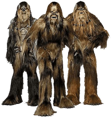 Chewbacca Star Wars Transparent Png