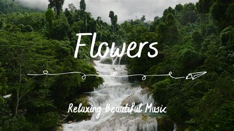 Flower Relaxing Piano Music And Rain Sound For Sleep Dimmed Screen