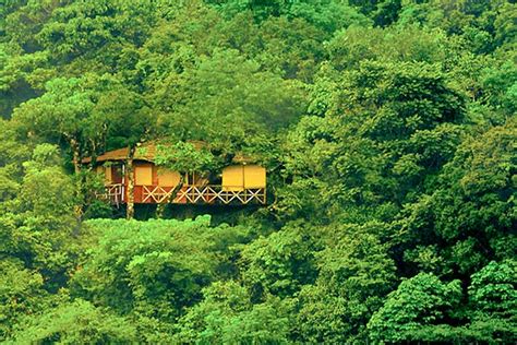 Wayanad Resorts Across Budgets | Little Black Book, Bangalore