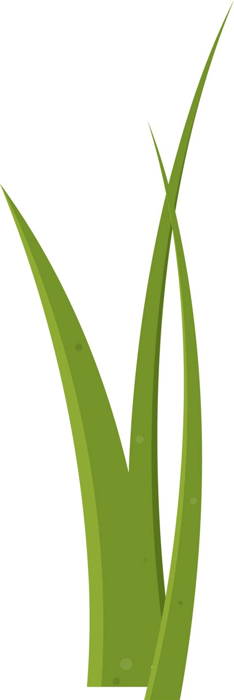 Cartoon Grass Leaves Clip Art 21612204 Png