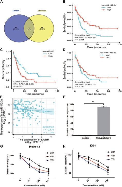 Frontiers Mirna P And Fus Can Be Sponged By Long Noncoding Rna