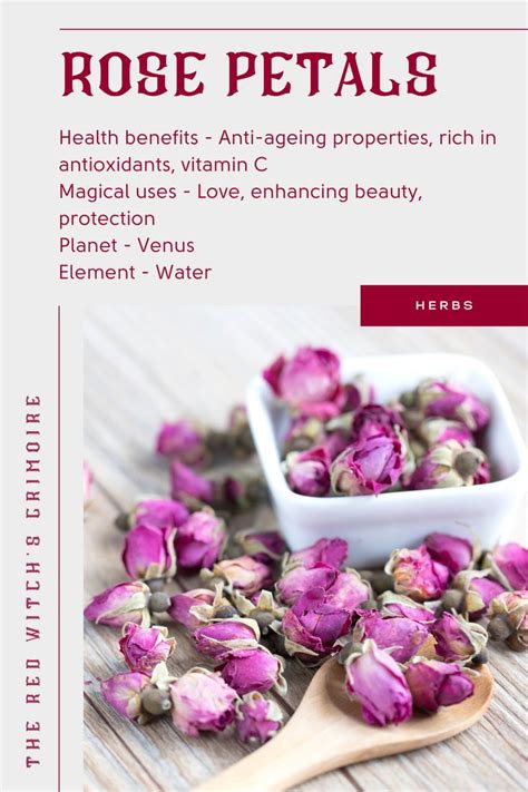 Rose Petals Health Benefits And Magical Uses