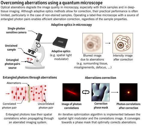 Quantum imaging could create bright future for advanced microscopes