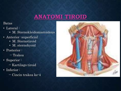 total tiroidektomi pptx