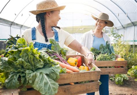 Agricultura De Trabajo En Equipo Y Agricultura Vegetal En Un