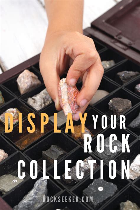 BEST ROCK COLLECTION BOX (5 Rock Display Cases With Reviews) | Rock ...