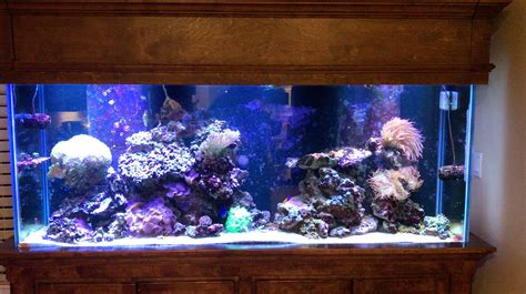 For Sale - 125g Full Reef Tank Setup - Complete Systems - Austin Reef Club