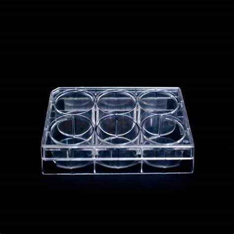 China 2017 Latest Design Petri Dish For Cell Culture Stable Plastic