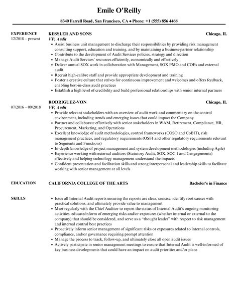 Vp Audit Resume Samples Velvet Jobs