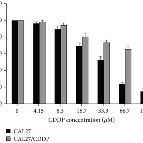 The Role Of Ros In The Synergistic Effect Cal27 And Cal27cddp Cells