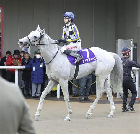 【フェブラリーs】初ダート挑戦のガイアフォースが2着 長岡禎仁騎手「リズム良く運べて脚も使っている」 ライブドアニュース