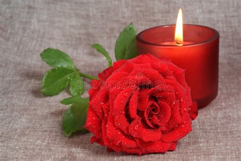 Rose and candle stock photo. Image of botany, beautiful - 10450984