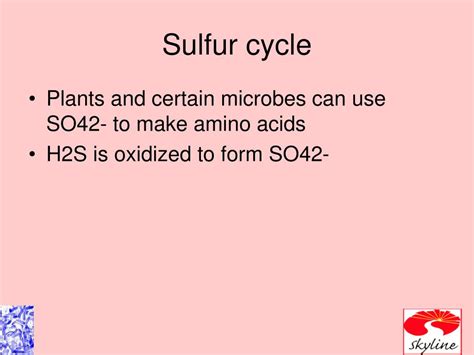 Ppt Ch Environmental Microbiology Powerpoint Presentation Free