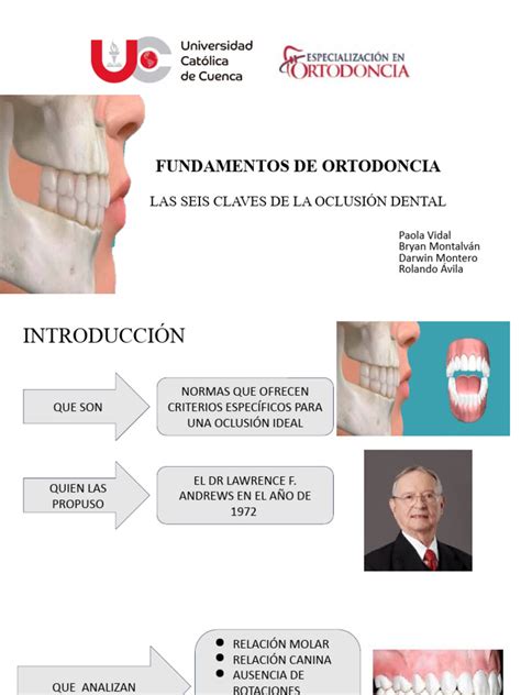 Las Seis Claves De La Oclusión Normal Pdf Odontología Boca