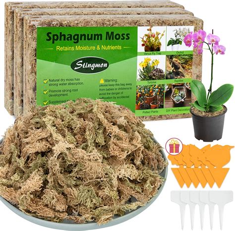 Amazon 1 3LBS Premium Sphagnum Moss Orchid Potting Mix 25QT