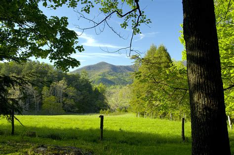 Cades Cove In Great Smoky Mountains Photograph By Darrell Young Fine