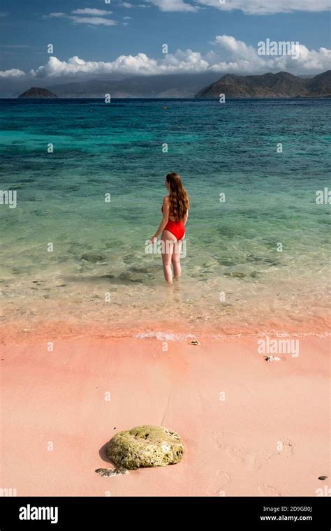 Girl in pink bikini ocean Banque de photographies et dimages à haute