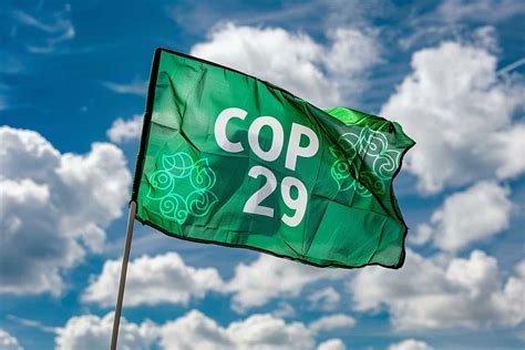 Was wir von der Klimakonferenz COP 29 erwarten WWF Österreich