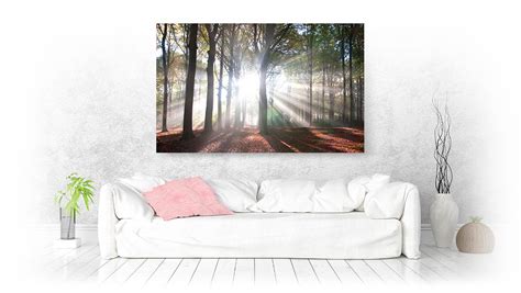 Landscape Wall Art | Bring paradise into your home!