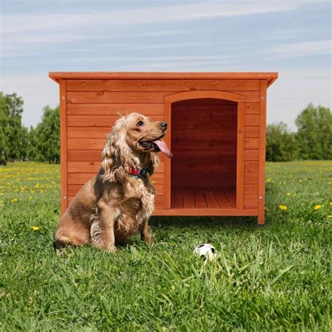 Casetas De Madera Para Perros Calidez Y Seguridad