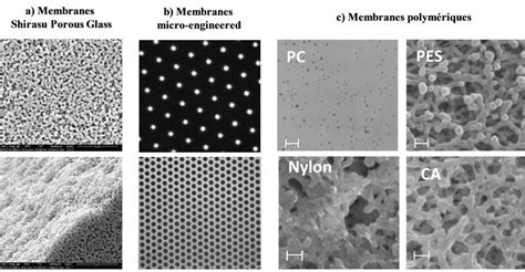 21 Images microscopiques des principales membranes utilisées en